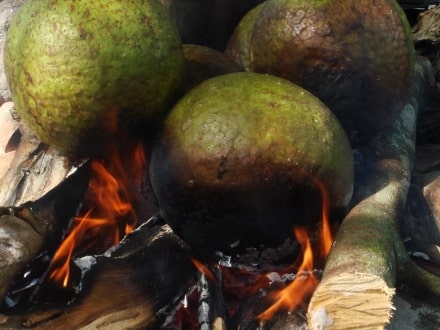 Jamaican food breadfruit roasted