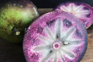Jamaican fruit star apple