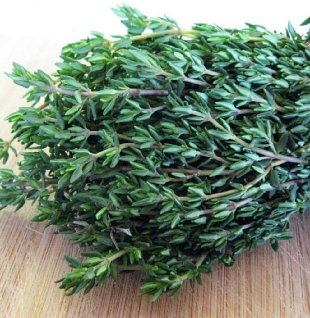 Jamaican Thyme, herbs ans spices