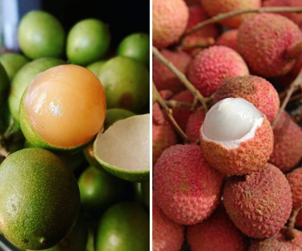 guinep vs lychee