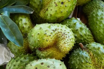 Soursop guanabana fruit