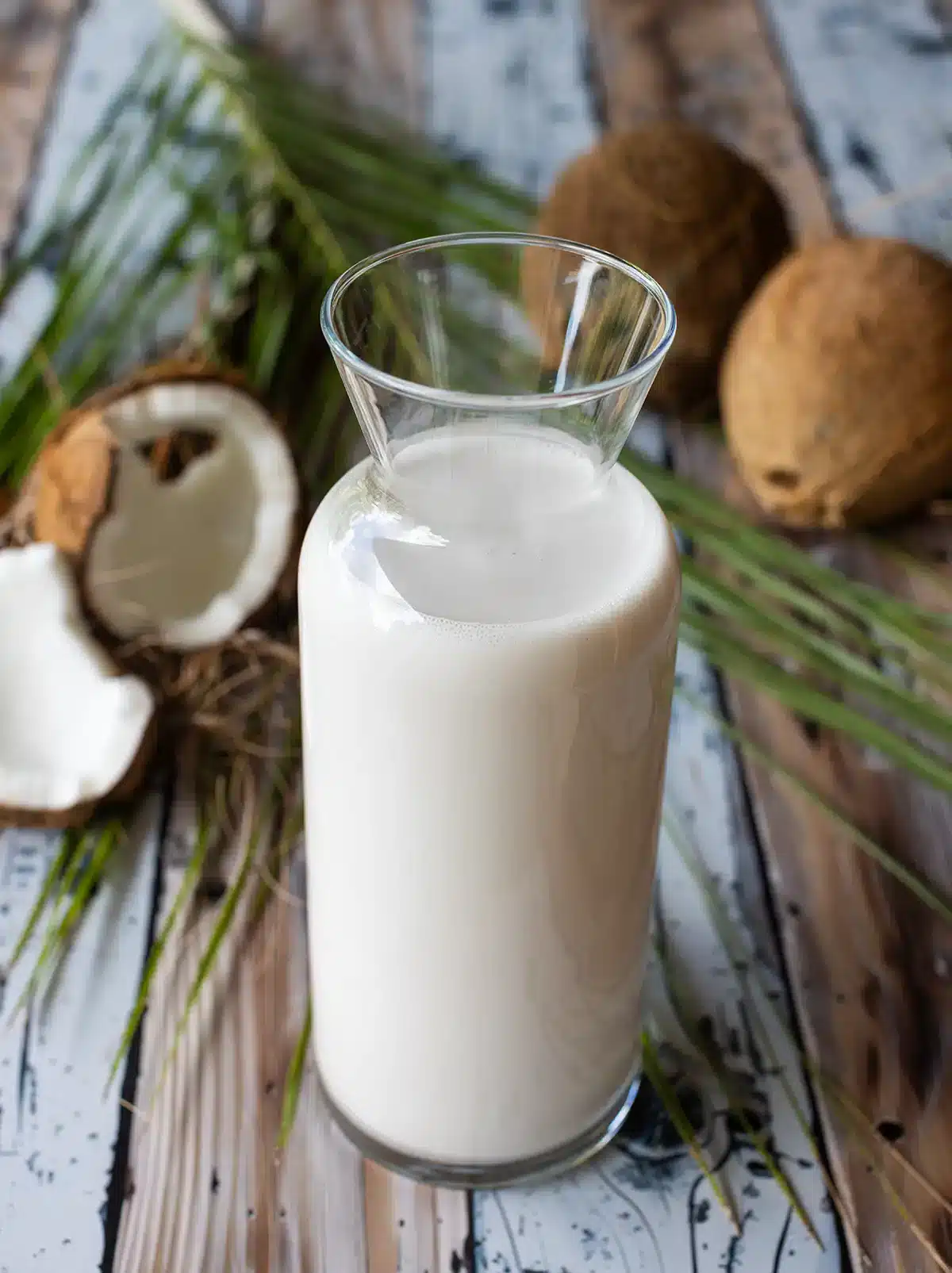 fresh coconut milk recipe